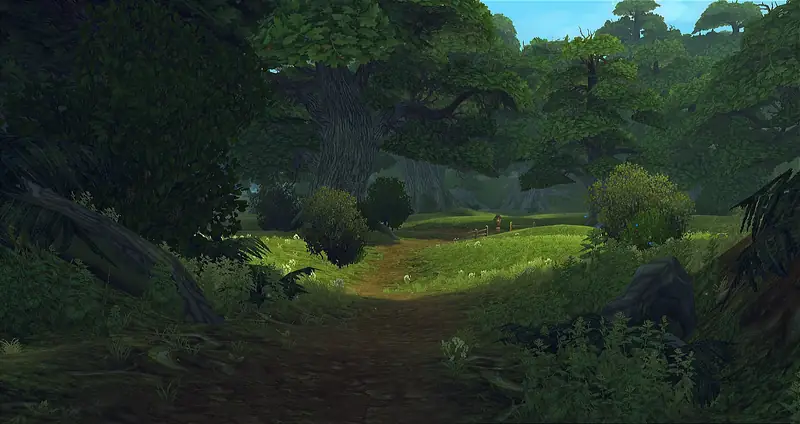 A grassy clearing and a worn dirt path winding through dense green forest
